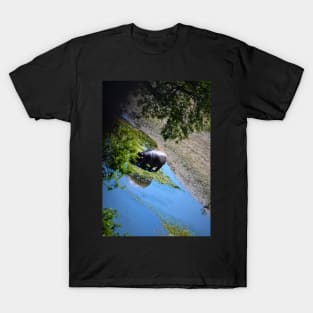 Hippo on Crocodile River 3 T-Shirt